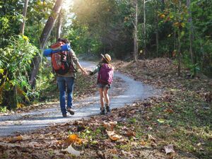 Umwelt: Mutter und Tochter, die sich an der Hand halten und zusammen einen Waldweg entlanggehen.